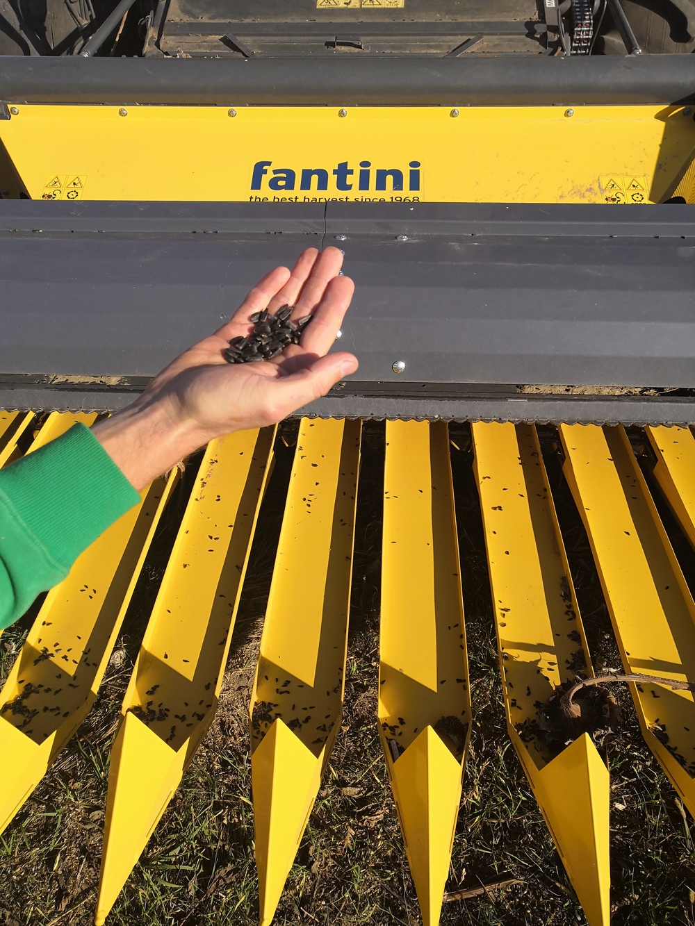 жатка для уборки подсолнечника Fantini gp